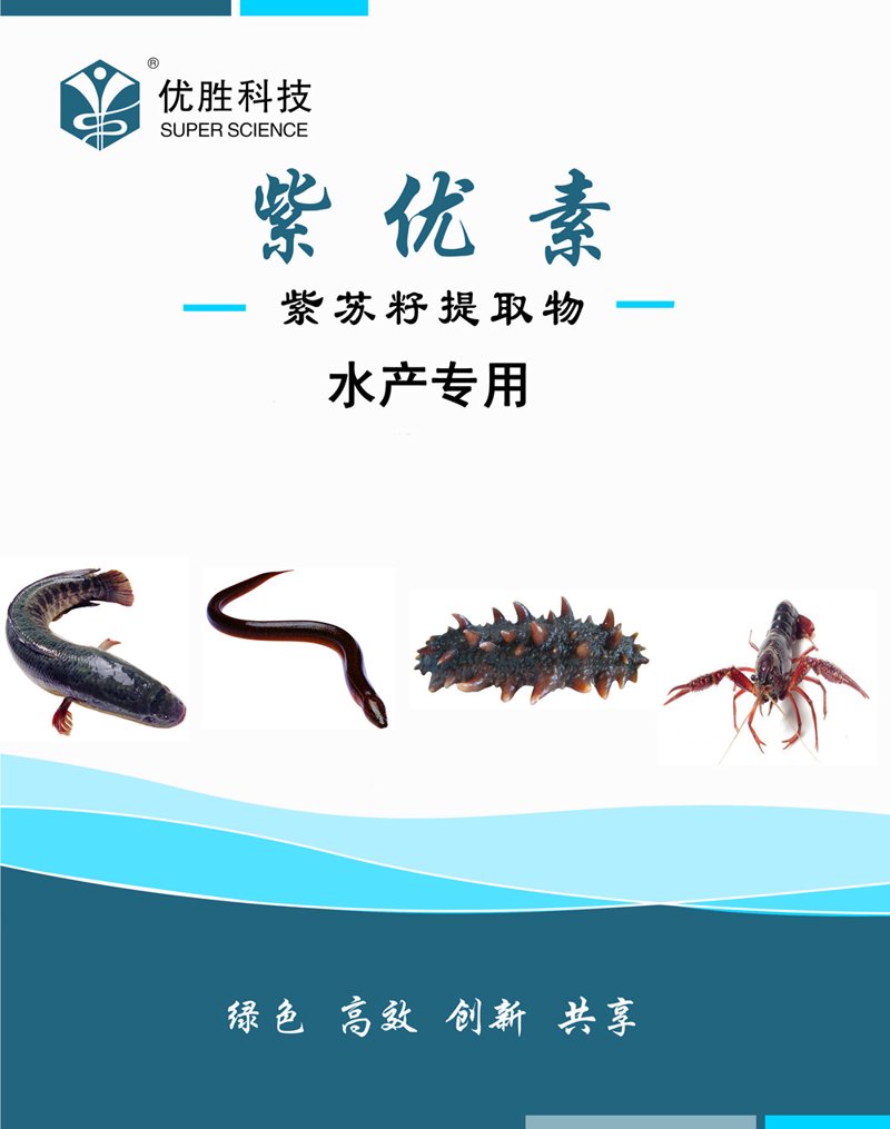 海参饲料怎么选？从刺参摄食习性到配合饲料配方的深度解析